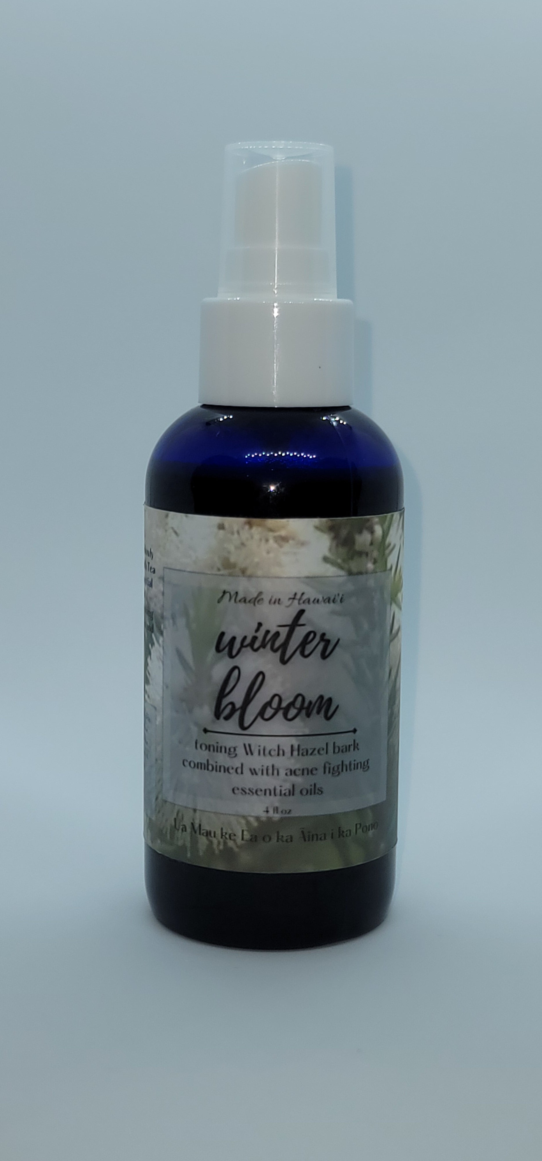 Winter Bloom Witch Hazel/ mohala